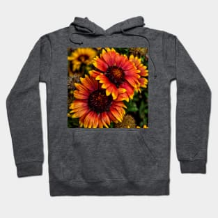 The Bold And Beautiful Pair Hoodie